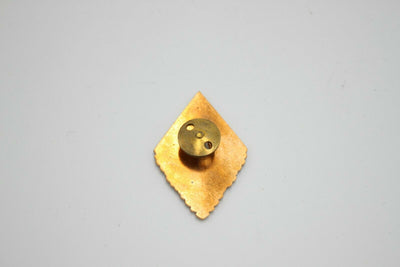 Vintage East German Officer Military Academy Badge Screwback MDI School Pin Army