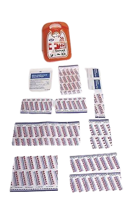 36 pc Emergency Plastic Case First Aid Kit