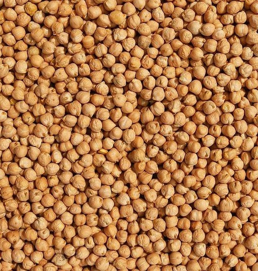 Garbanzo Beans (Chickpeas) Non-GMO - 5 lbs