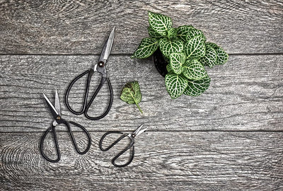 3 Piece Set 4" 6" 8" Chinese Scissors Hardened Steel Black Heavy Duty Survival