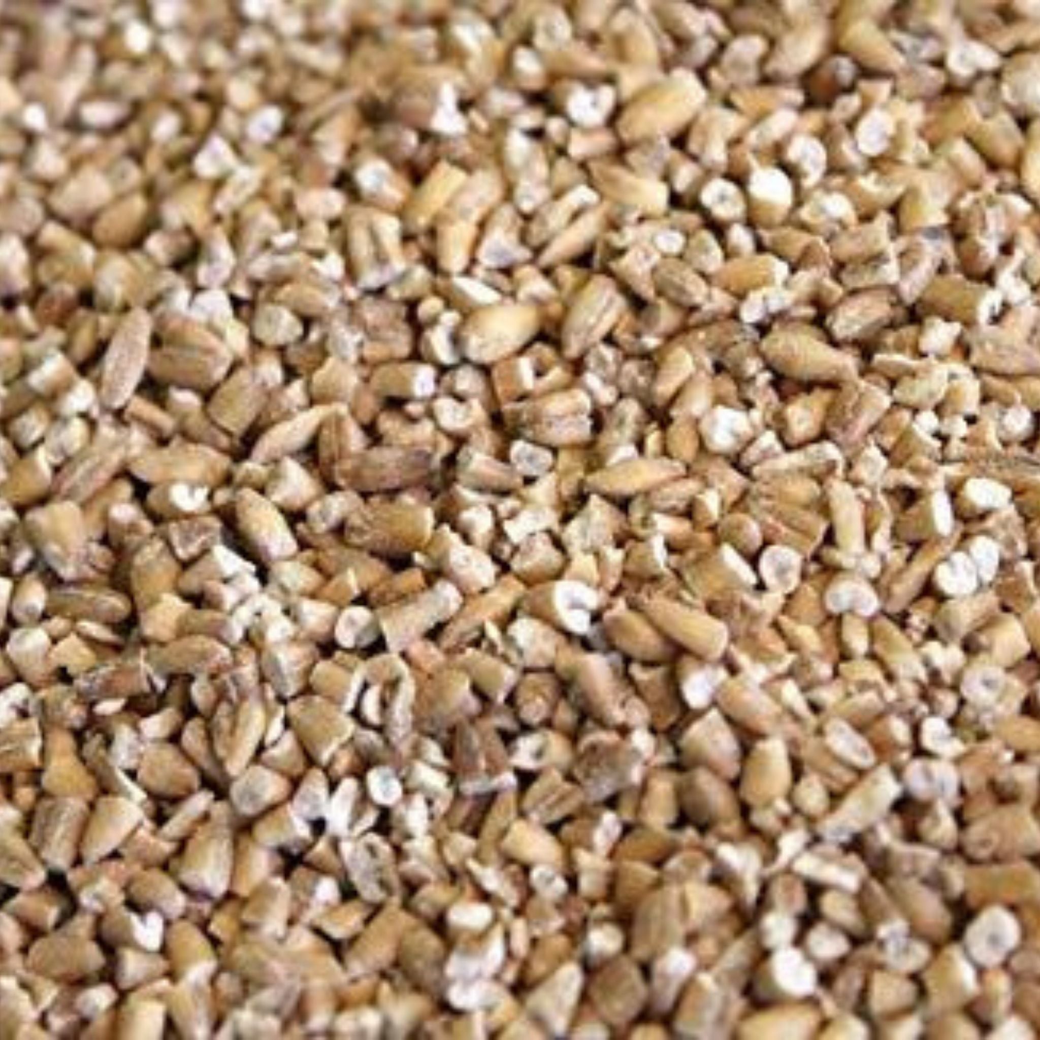 Steel Cut Oats Non-GMO - 5 lbs