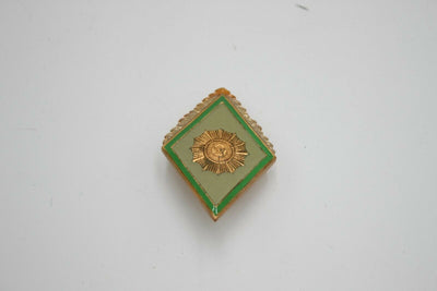 Vintage East German Officer Military Academy Badge Screwback MDI School Pin Army