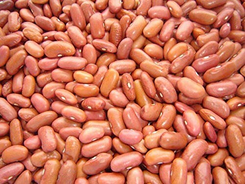 Red Kidney Beans Non-GMO
