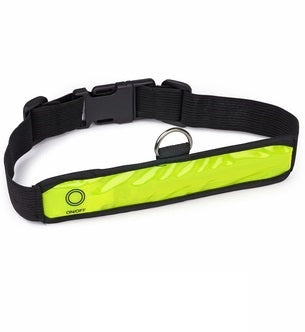 Green Reflective with Red Flashing LED Dog Collar